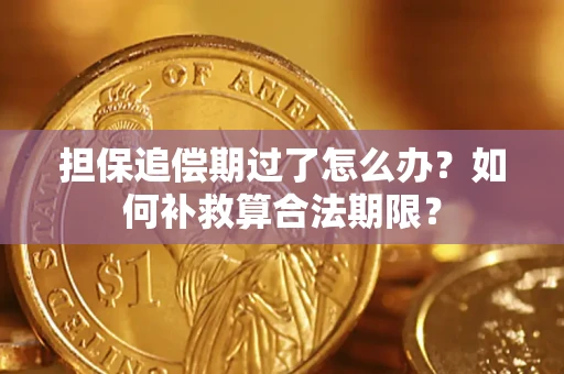 北京担保追偿期过了怎么办？如何补救算合法期限？
