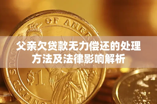 北京父亲欠贷款无力偿还的处理方法及法律影响解析